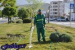 اصفهان آب ندارد، فضای سبز یزد با آب شرب آبیاری می شود!